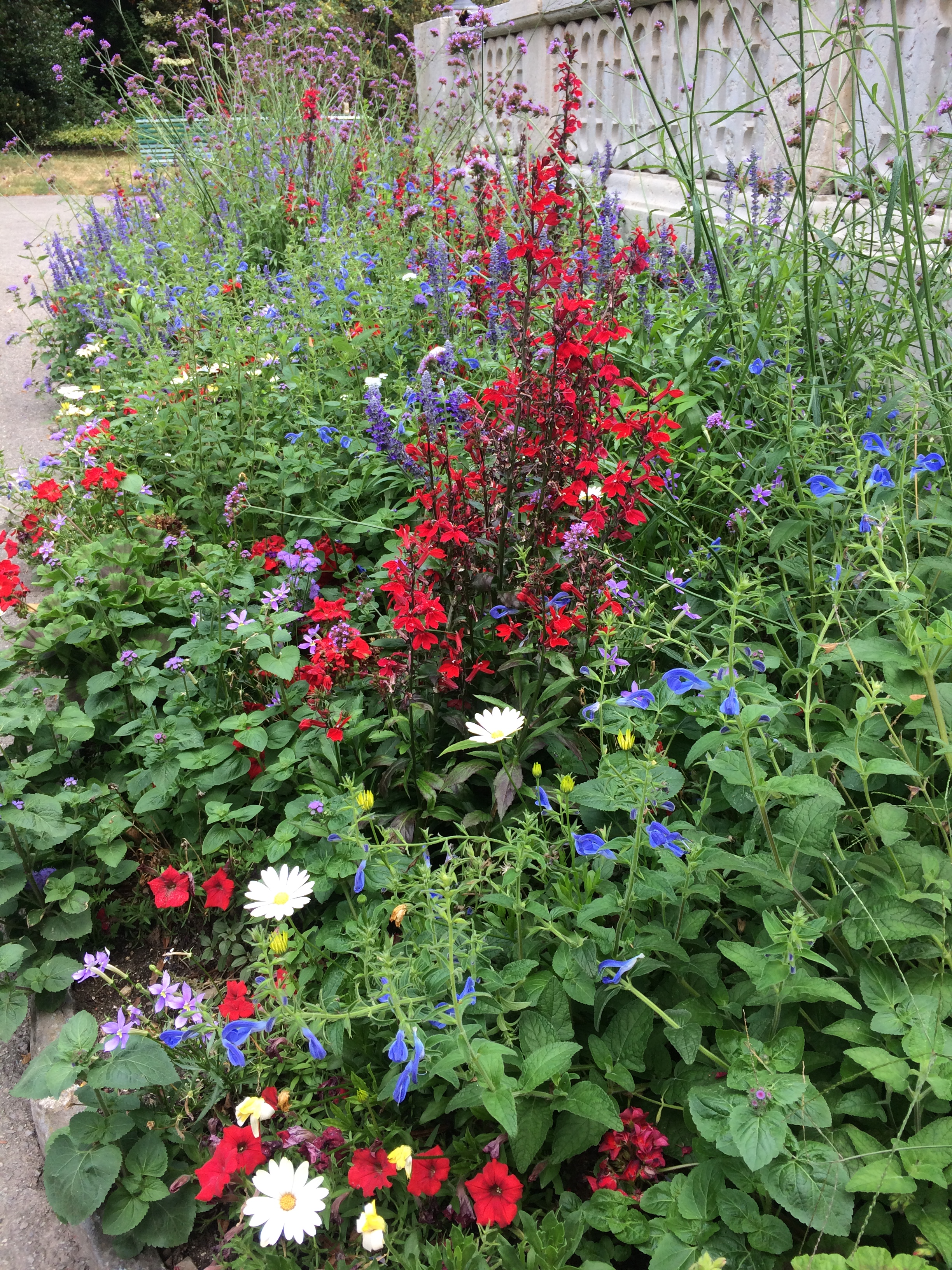 Perennat ja kesäkukat